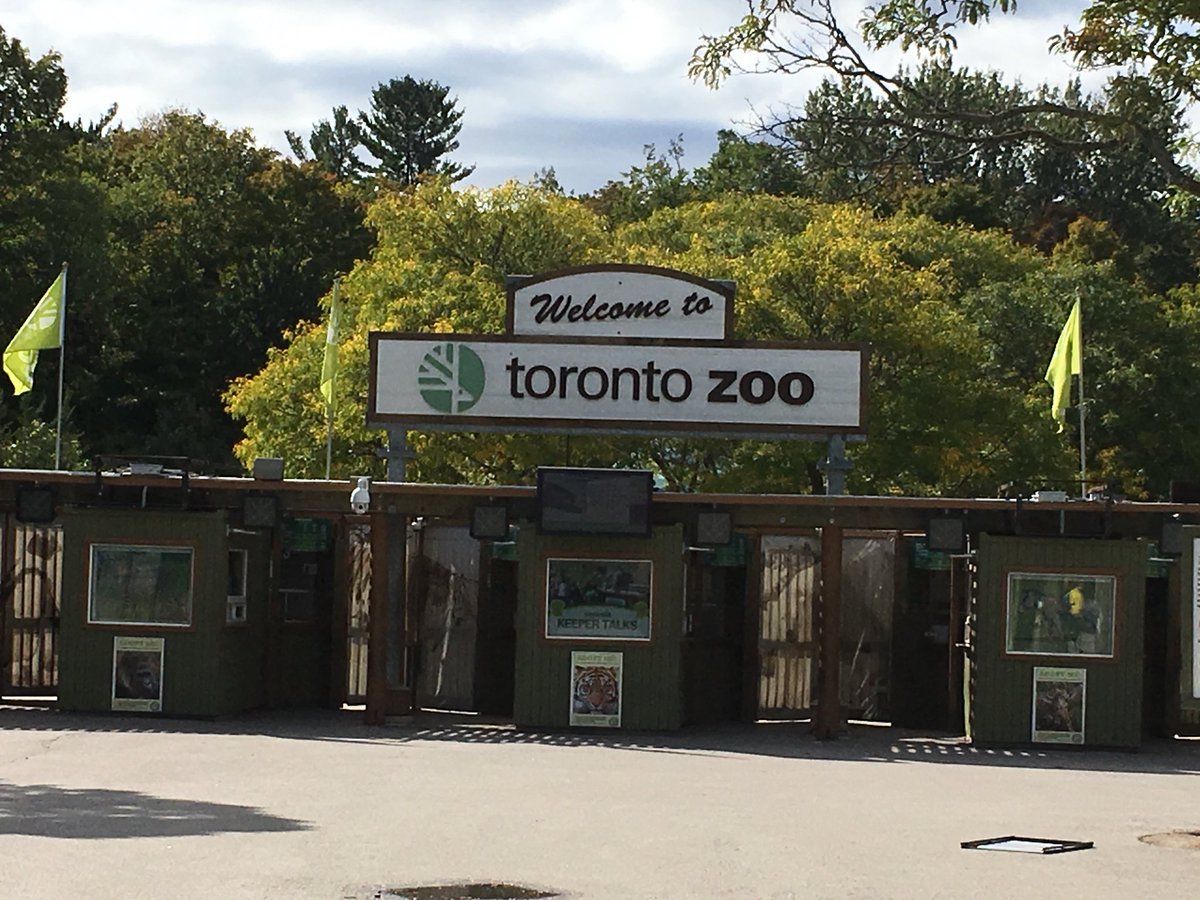 MeaganHamilton1's tweet photo. Amazing day with my Grade 10 Geography class exploring the benefits and drawbacks of animal conservation @TheTorontoZoo and @Rouge_Valley_CC https://t.co/74l2IxaYys