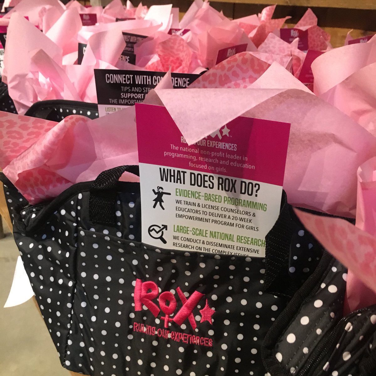We spent the entire day prepping for our annual fundraiser event— Girls Without Limits— and we are so excited to see 300 of central Ohio’s most influential leaders tomorrow evening!

Silent auction, ROX photo booth, and a branded swag bag are all waiting for you! #GWL2018