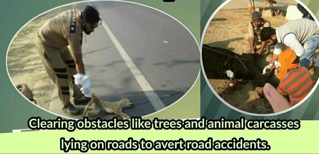 Great initiative taken by @derasachasauda for Clearing obstacles like trees and animals lying on roads due to road accidents #SafeRoadsSaveLives