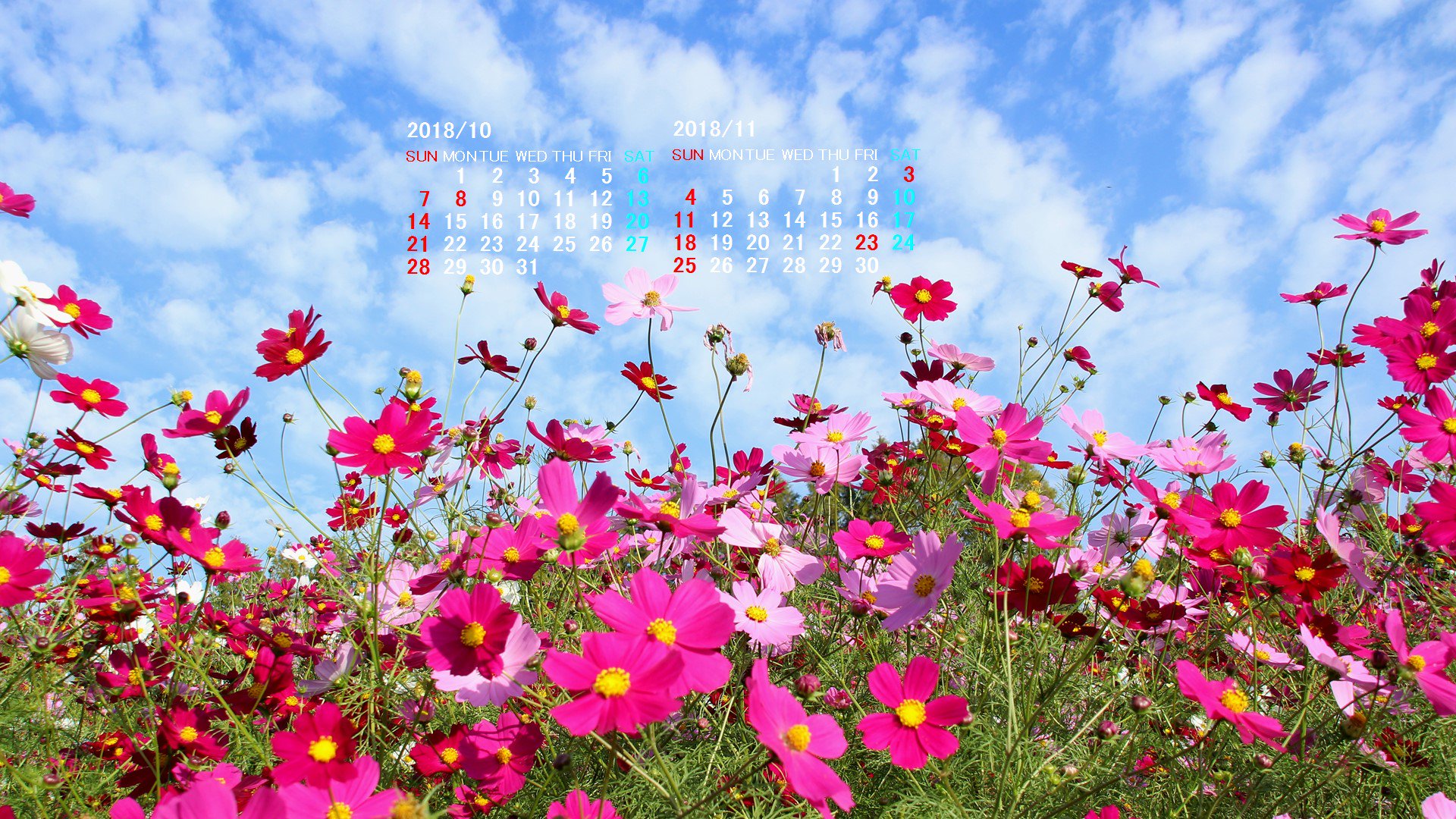 写真無料 無料素材 無料写真素材 优秀照片