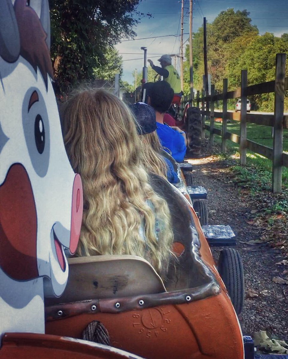 ɢɴᴀʀʟʏ ᴊᴀʀɢᴏɴ tweet media