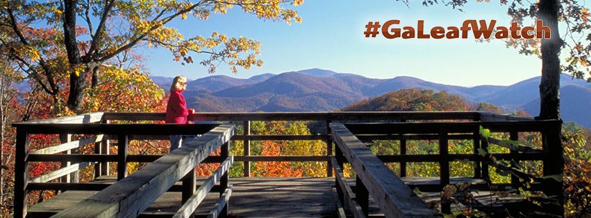 GaStateParks's tweet photo. It's fall, y'all! https://t.co/h3JxcFRhVC gives top parks for fall color, ranger updates, events, hiking tips, cabins &amp; more. #GaLeafWatch #GaStateParks @ExploreGeorgia #fall #leafwatching #photography https://t.co/Kq37SnRRH1
