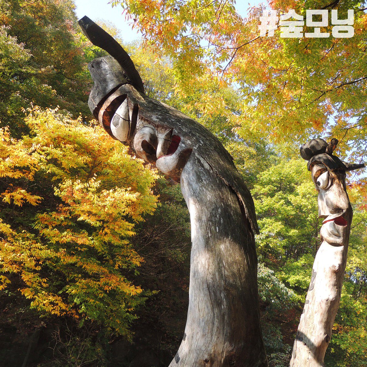 <오늘도 활기차게 #숲모닝🌿☘️🍀>

숲모닝! 추석연휴 잘 보내셨나요?
다시 시작된 일상에 금방 지칠 수도 있지만 오늘도 힘!!!💪💪

멋진 사진보면서 힐링하세요😝

#산림문화공모전 #이명주_장승 #멋짐주의