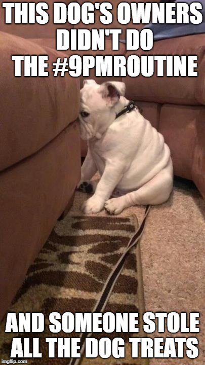 OrlandParkpd's tweet photo. This dog's owner didn't do the 9PM Routine and someone stole all of the dog treats. #9PMRoutine. #OrlandPark #OrlandParkPD #OrlandParkPolice #LockItOrLoseIt #PreventCarHopping #NoGunsInCars #NothingVisible #OutsideLightsOn #EverythingLocked #LockItUp https://t.co/k3wc4WeFRC