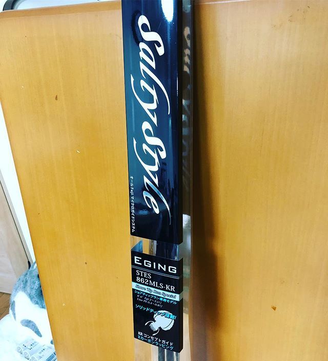 sunagimofishing's tweet photo. 対イカ用装備🦑 ソルティースタイル STES-862MLS-KR
#abugarcia #エギング #saltystyle https://t.co/yIpIRWzZAK
