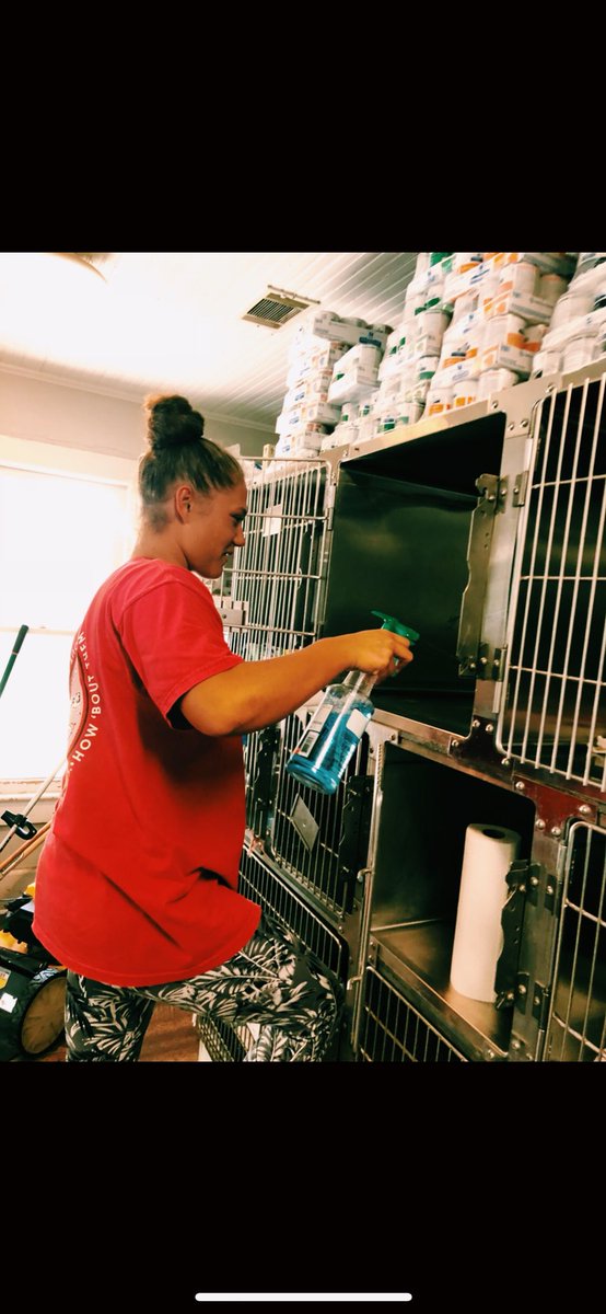 karlipwilliams's tweet photo. Loving my job at Dr. Padgett’s Office! 🐶🖤❤️ Trying to make Vet visits a little more fun for these guys! @jdcswbl #jdcspride #jdcshigh #jdcswbl #G2G https://t.co/dBKDjMeGgA