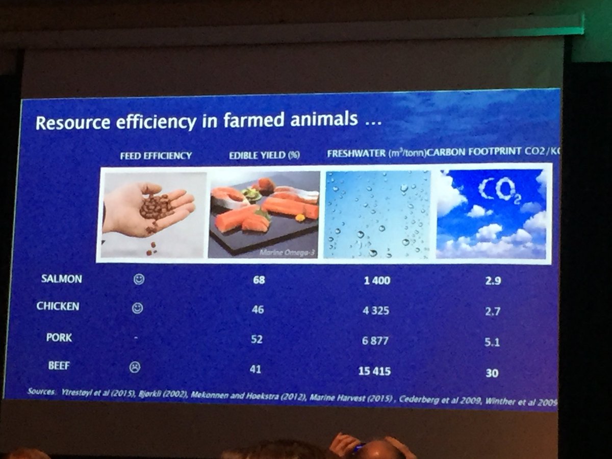 ❤️salmon - sure do