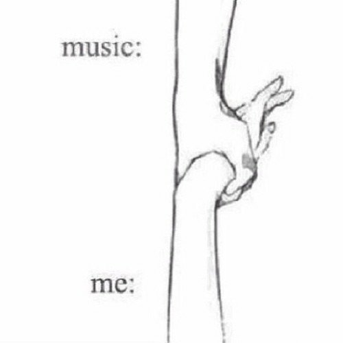 Loly 🐱 (@petiteloly) on Twitter photo 