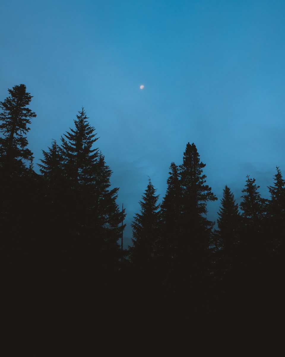 DylanSpitz's tweet photo. Seeing the moon in the morning is always special to me. I find it beautifully ironic that during the time when everyone’s waiting for the sun to put on its show, the moon continues to give us light. I want to be like this moon moving forward - less epic, with more heart. https://t.co/njJDLq4JVJ