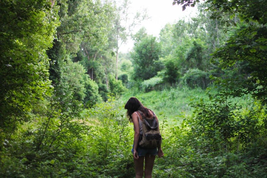 turnofftheapp's tweet photo. Who do you hike with most? #hiking #getoutdoors #transitaccessible #trees #trails https://t.co/YEHuhJ593B