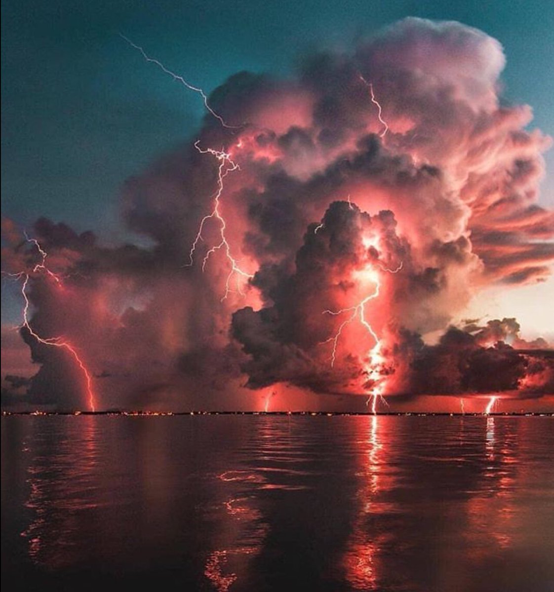 JFBIII TRADER tweet media