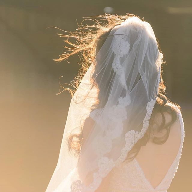 EricLeslie's tweet photo. Fly away hairs, a setting sun and good feels.

#bridals #sunset #norcalweddings #ericleslie #weddingreception #rusticwedding #barnwedding https://t.co/xHpPSB4Eho https://t.co/wZrjWTkHOQ