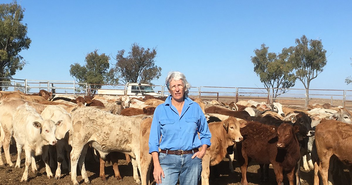 meatlivestock tweet picture