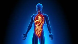 WorldTissueMeet's tweet photo. Organs are not just bystanders, may be active participants in fighting autoimmune disease
#tismet2019 #tissueengineering #internationalconferences #organengineering
To know more download brochure: https://t.co/oCUw3Z5lnT
To know briefly: https://t.co/JCc7v2IEXq https://t.co/q25z6VcXbV