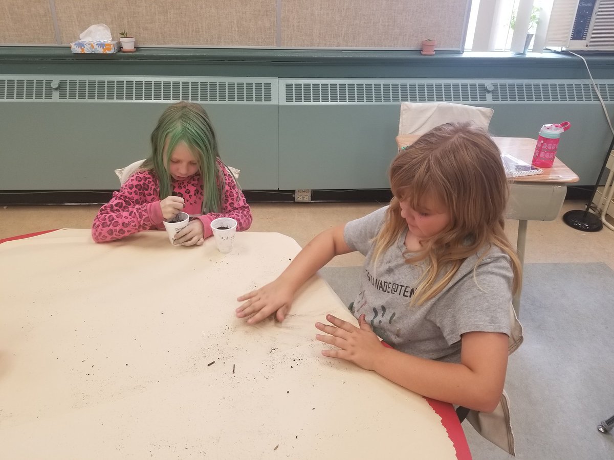 djhausauer's tweet photo. We spent the afternoon planting some beans to complete 4 different experiments involving light, water, fertilizer, and different soils. Ss were focused on the scientific method and the variables they kept the same and changed! @ElmStreet76 https://t.co/SkiGdP8mZP