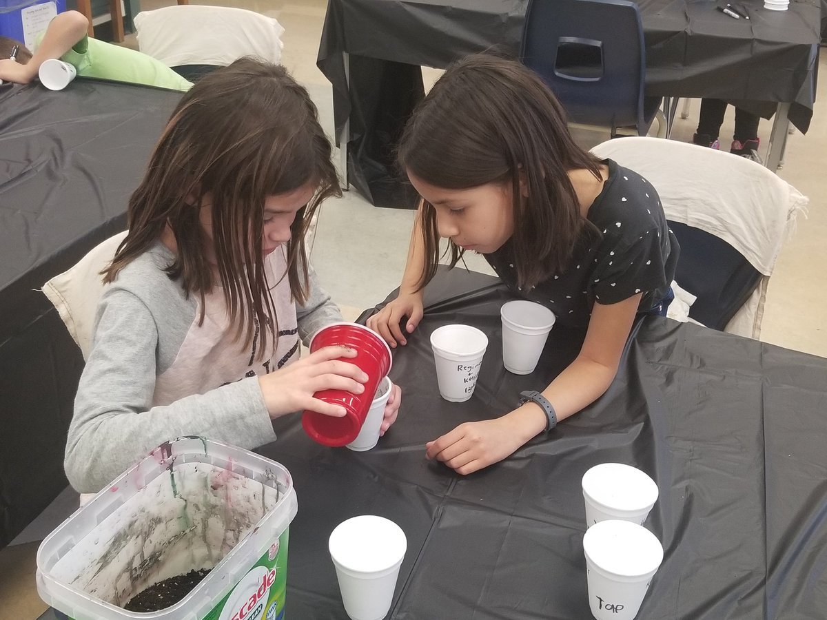 djhausauer's tweet photo. We spent the afternoon planting some beans to complete 4 different experiments involving light, water, fertilizer, and different soils. Ss were focused on the scientific method and the variables they kept the same and changed! @ElmStreet76 https://t.co/SkiGdP8mZP