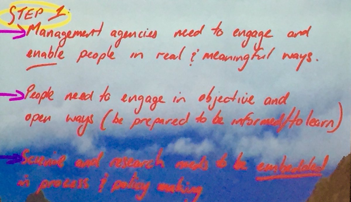 #nzaqua18 leading lights