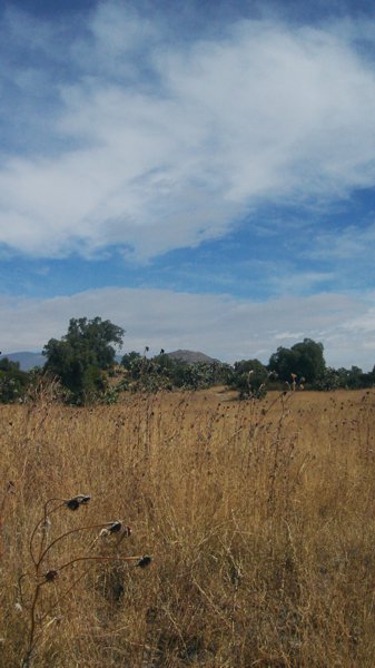 gabrielargenis's tweet photo. 3 fotografías ● #Teotihuacan, #EstadoDeMéxico, #México, 2005/11/26 ● #EncuentrosCordiales ● "Armonía paisaje, monumento y simbolismo", "Horizonte paisaje, monumento e historia" y "Perfil naturaleza, construcción e historia" ● https://t.co/poF2uokCcP ● #basamento #agave https://t.co/x8Gn8pdRzw