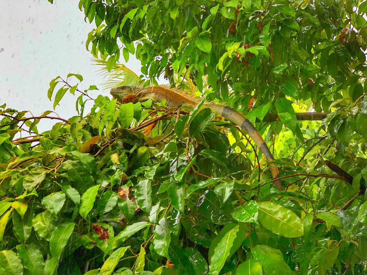 Freedom Of Express On Twitter Good Morning Friends Wishing