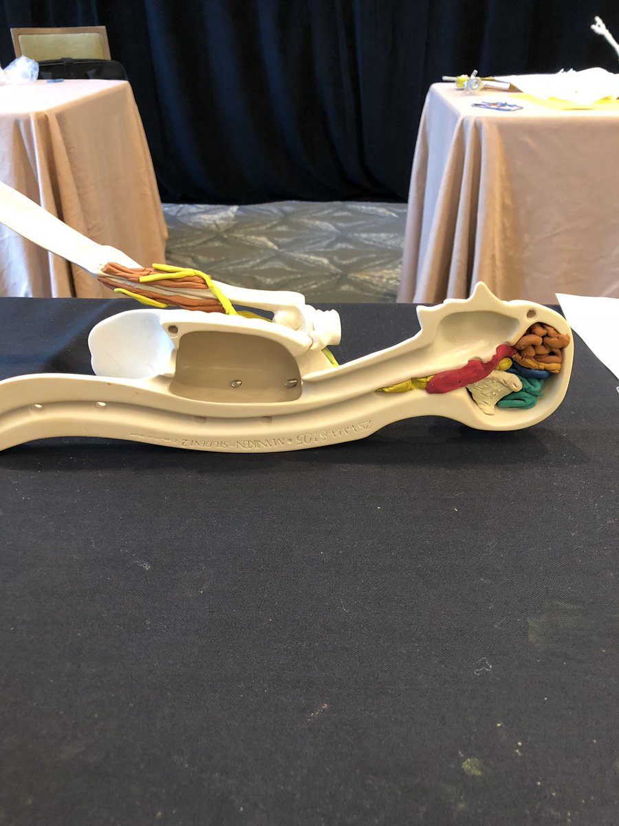 MsMerriweather2's tweet photo. What is Ms. Merriweather learning this week while away? #2018NHSC #CareerTechEd @LHughesNews @KGreeneLangston #AnatomyInClay https://t.co/gj5sizSqAq