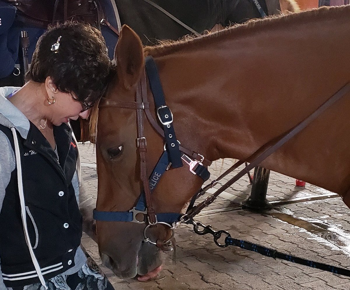 SantaAnaPD's tweet photo. #SantaAnaPD Sgt. Blake and his new horse Koa had a meet and great with a community member during todayβs Downtown enforcement ππ΄#mountedenforcement #communitypolicing https://t.co/GROSXFV2tY