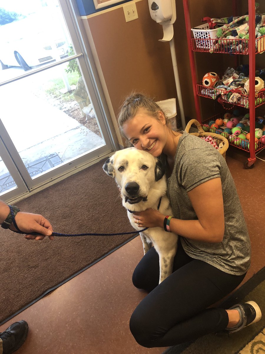 savanahaaron's tweet photo. Today I became a dog mom to Archie, my first rescue ❤️ https://t.co/uZBgWdck3Y
