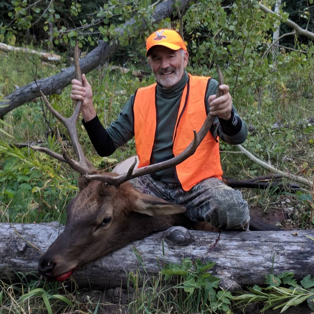 Fin Feather and Bone tweet media