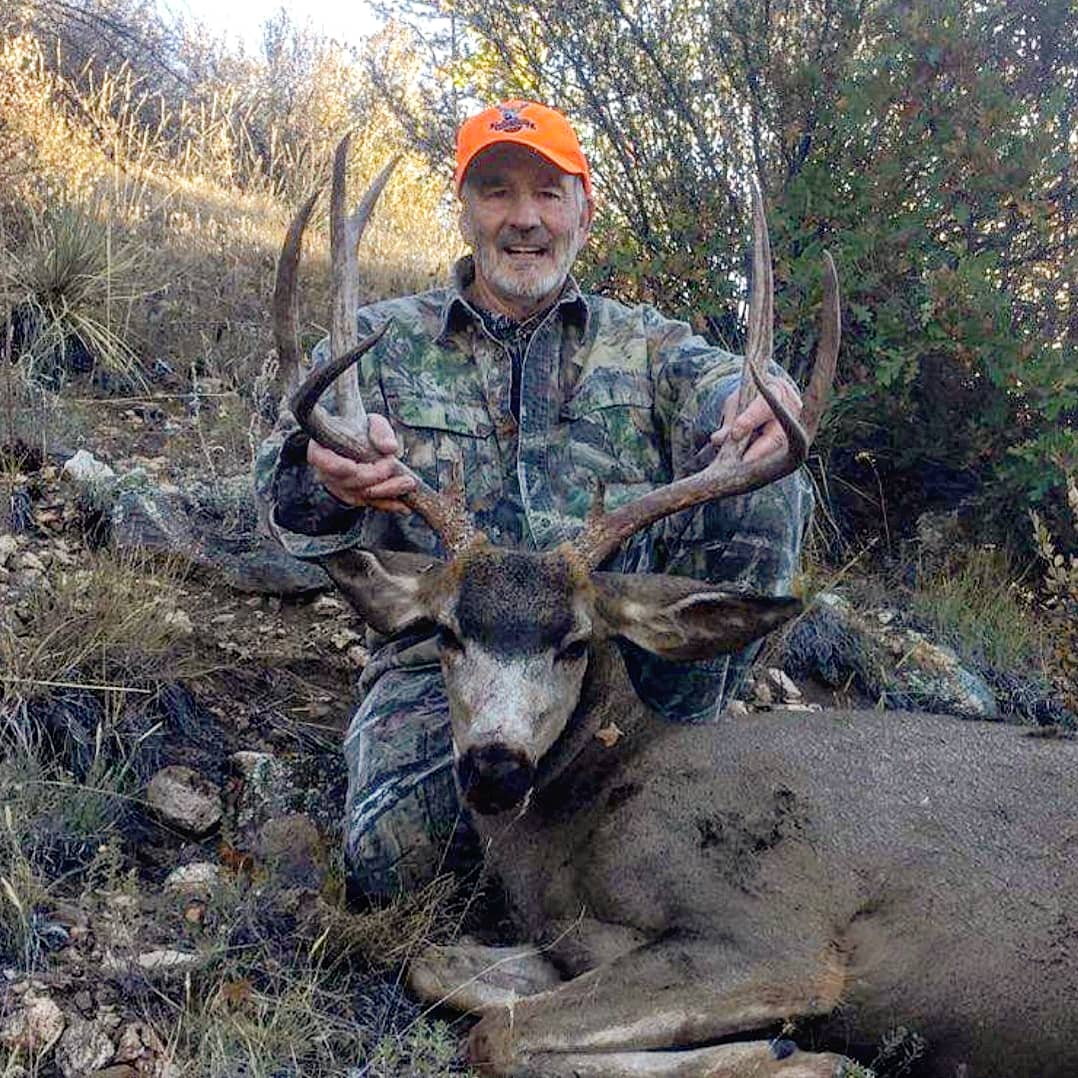 Fin Feather and Bone tweet media