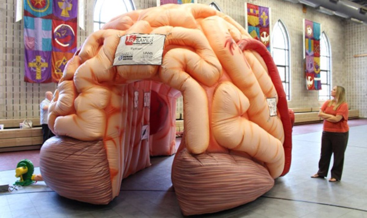 djmarkfarina's tweet photo. Since there will be no books in the future Trump Library, there will be plenty room for his brain then. https://t.co/gIiJ7W6mWq