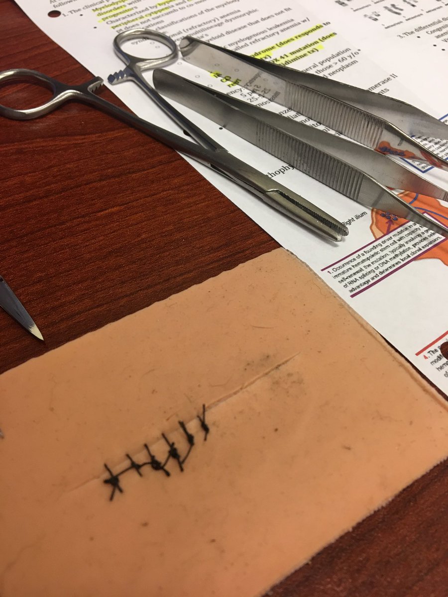 AshleyPenington's tweet photo. Just getting in a little #suture practice in between some heme/onc studying to prepare for the #sutureclinic tomorrow! Excited to partner up with our fellow surgery club to put on this event 👍🏼 I’m a little rusty, so thankful for the practice! #alwayslearning #EMRAGood #omsII https://t.co/m9qdDNsxai