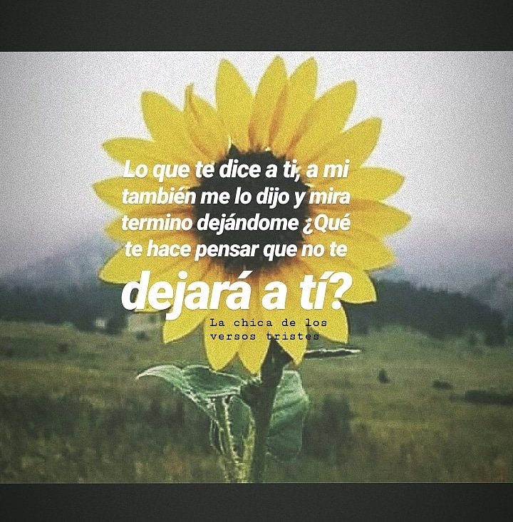 misskamikaz's tweet photo. #scritto #frassi #versi #poesie #poeti #amore #scrive #escrito #escritoramexicana #poetamexica #quotes #amor #lachicadelosversostristes https://t.co/zAH1YTYFAo
