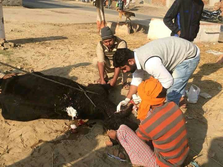 #SafeRoadsSaveLives 
The broken tree On The Street @derasachasauda Volunteer's took away the initiative to stop road accidents For All These Work's @Gurmeetramrahim Singh Ji Insan is taught By human beings !!