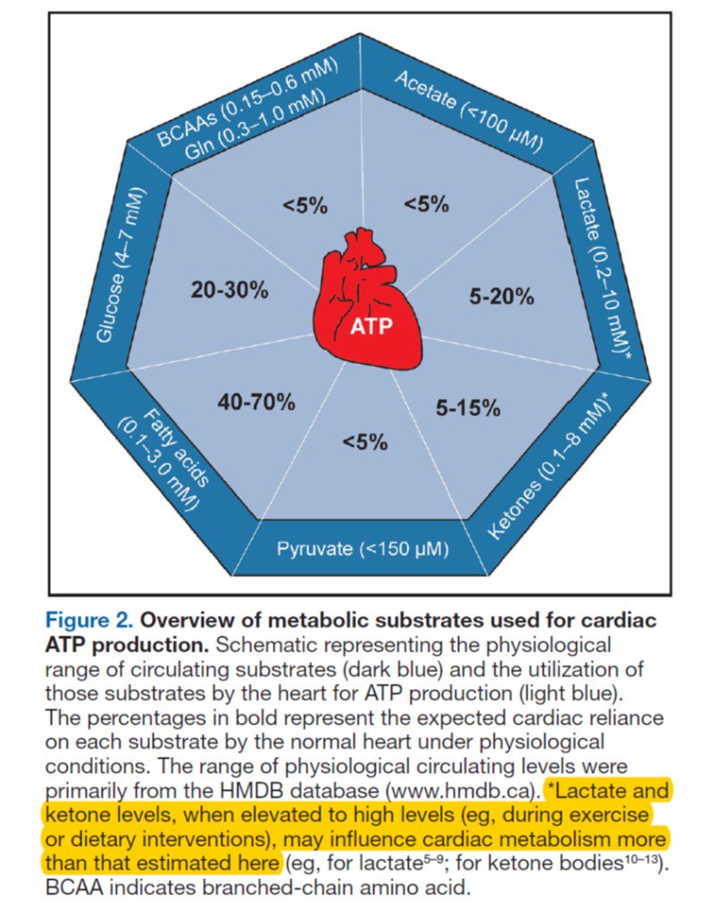 SatchinPanda's tweet photo. Heart's preference for fuel explained in a simple chart. 
https://t.co/UT88LkTkHN https://t.co/Kk7xBCO1GR