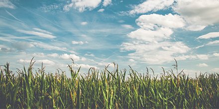 ClimateworksCtr's tweet photo. Passionate about sustainable land management and #foodproduction? Hear from internationally-renowned experts, and help us kick off our new project on this topic #LandUseFutures. Learn more and register here https://t.co/pPNcnhxLBU #FOLU #ClimateWorksAus #netzero #SDGs @MonashMSDI https://t.co/Jz7qKceApY