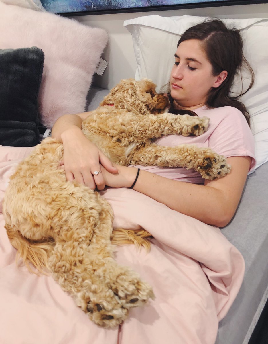 brownand_gold's tweet photo. I get up everyday at the crack of dawn to go to the gym and my sister and dog stay in bed and snuggle. Orlando has made his preference very clear...
#everyonesreplaceable 🤷🏻♀️ https://t.co/6fP6ryNkpV
