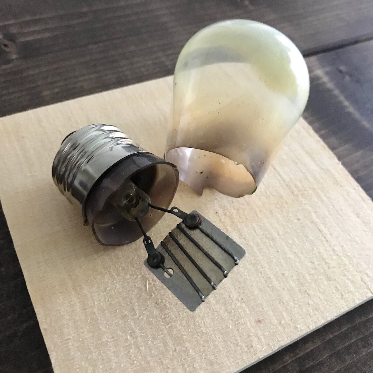 Torinotorio トリノトリオ 急に寒くなってきたので昨日からケージにヒーターを設置 アサヒのペットヒーターを6個使用していますが 9年間で割れたのは4回 画像の割れ 方が一番多く3回 気付きにくいので朝晩ヒーターの電球は大丈夫か確認しています