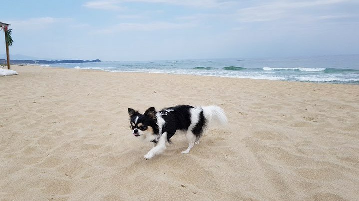 skzmalkokayo's tweet photo. Stray Kids IG Update with Hyunjin

[Thread] https://t.co/FMKNy3yCDP