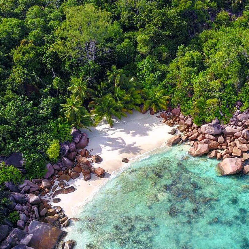 influsociety's tweet photo. Happy World Tourism Day Everyone!
On this very special occasion we launch our monthly Hospitality & Travel #bestofinstagram curated with love and passion.
Starring @ChromataHotel #henriettahotel @OOResorts @visitseychelles
#influencesociety #welovehoteliers #worldtourismday https://t.co/vY2DZBcABY
