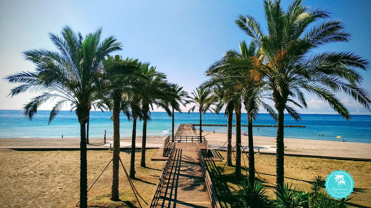 beni_paraiso's tweet photo. ¡Feliz #DiaMundialdelTurismo! Compartamos y difundamos al mundo el orgullo de #BenicàssimParaíso. 😍🌴💚
https://t.co/jRRvgQLC3t
#SoyBenilover #BeniloverTodoelAño #WorldTourismDay https://t.co/PzNuNenwQ8