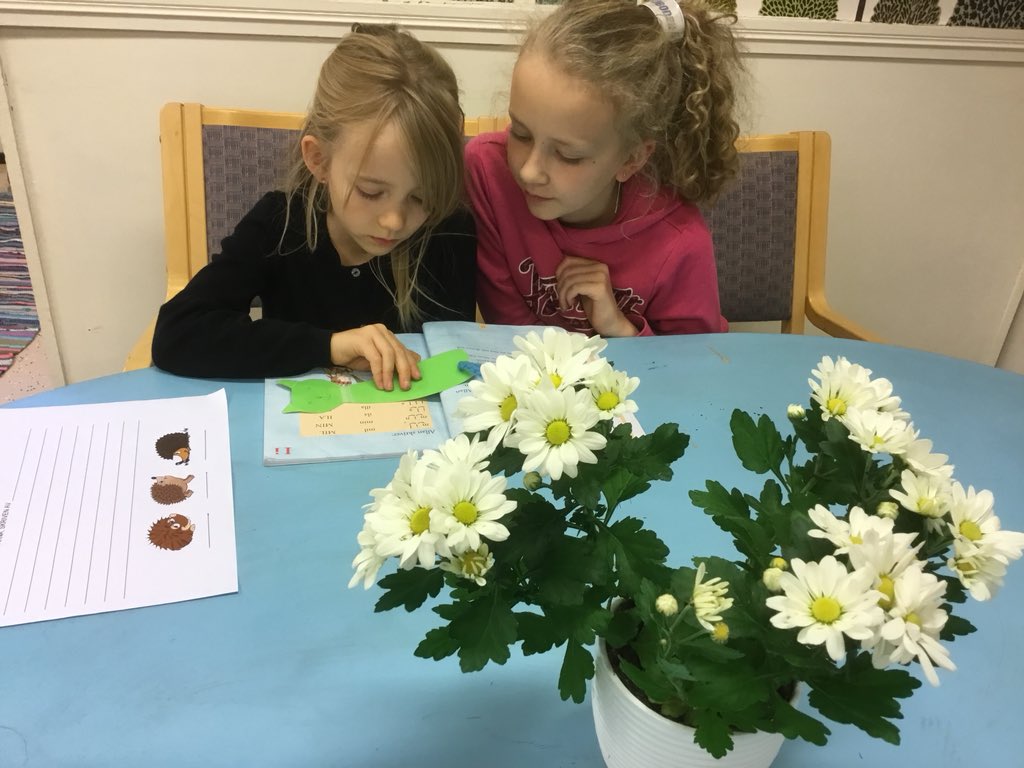 katarinaskolan's tweet photo. Vänelevsverksamhet i klass 1a och klass 4a. Vi läser och skriver om igelkottar. https://t.co/vIYHn9QF2K