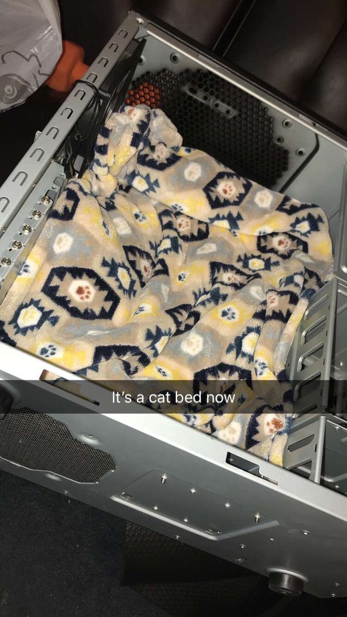 KayYuuh's tweet photo. Welp today my pc passed away...instead of burying it I made it into a bed for my cats #rippc #pc #cats #idontknowwhatelsetotag https://t.co/4V4JZsRGfc