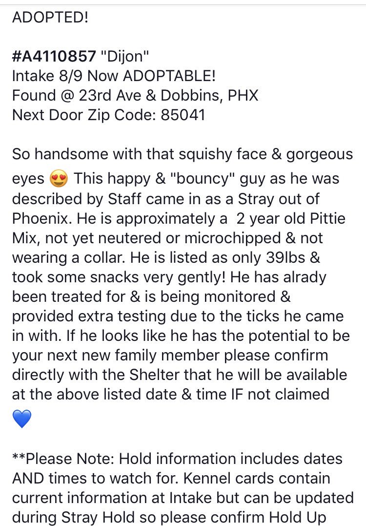 reddogsusie's tweet photo. DIJON IS SAFE! Adopted🎉🎉🎉❤️❤️❤️🎉🎉🎉🎉🎉🎉🎉🎉
#AZ #MESAA #MCACCEast
Thank you for sharing &amp; caring! 
https://t.co/UE2VHjHh1N https://t.co/MSbTOyXNTJ