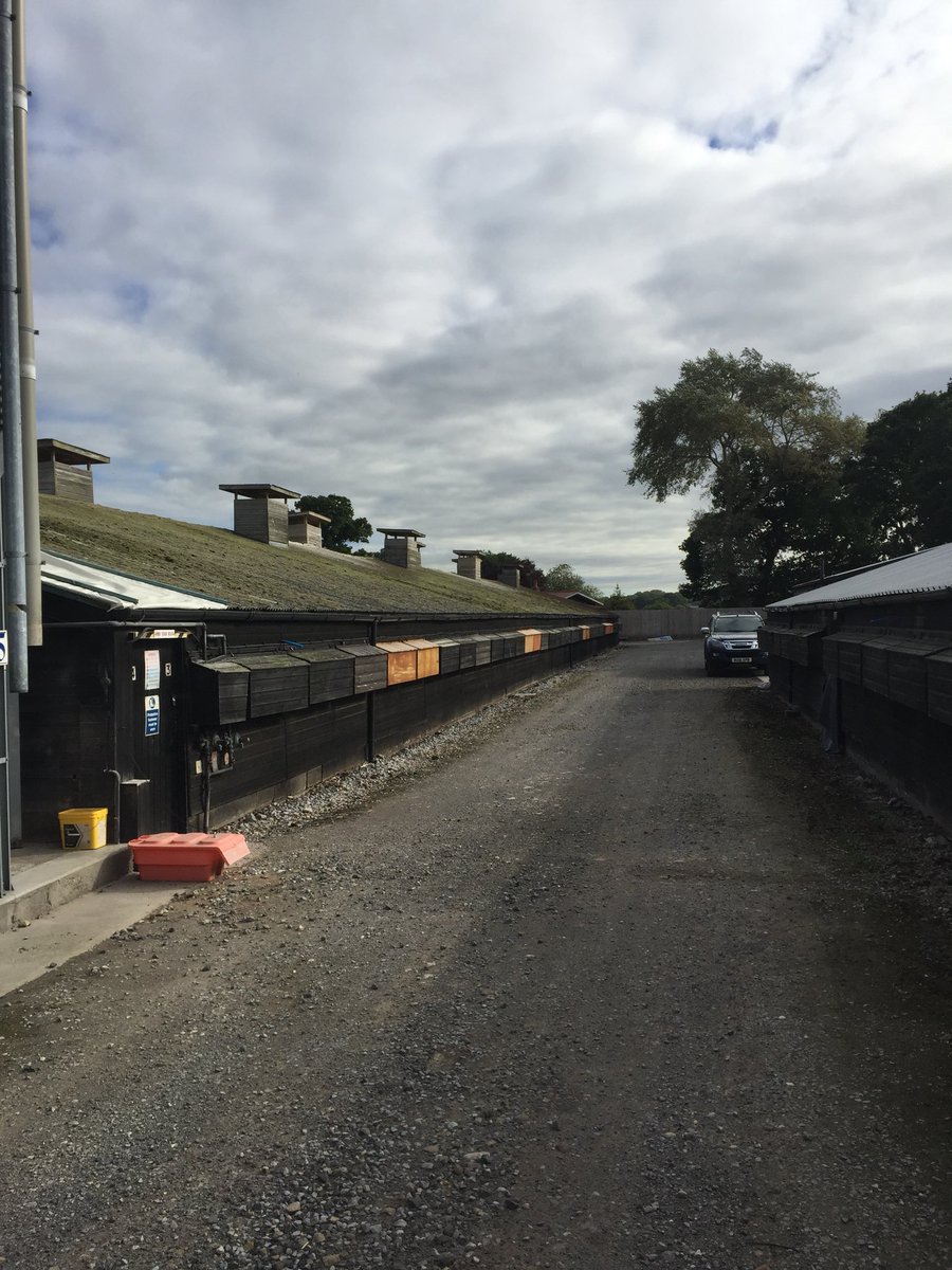 JeremySanderso5's tweet photo. Shed refurb going well with @HydorLtd Agrijet Fans and Light Baffles replacing 30 year old wooden Trunks. See before and after photos. https://t.co/2mKAl1h6S0