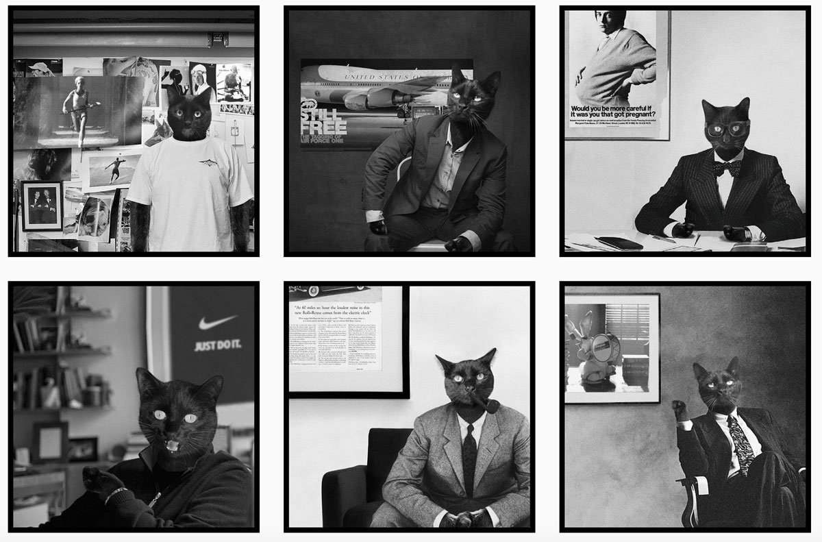 marcommnews's tweet photo. .@wearesocialfr pays #tribute to some of #advertising’s top cats https://t.co/07kdenpJ0T #marketing #agency #instagram https://t.co/Qq0rQtTVvo