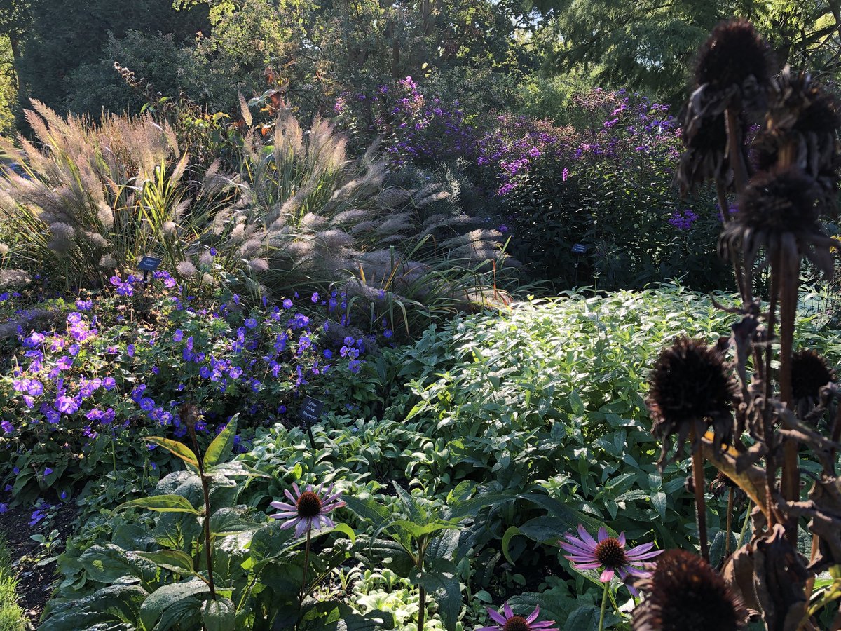 BethChattoGdns's tweet photo. A glorious September morning at the Gardens. Pictures taken 9-930am. #visitessex #visitengland https://t.co/tmnmd9yMnR