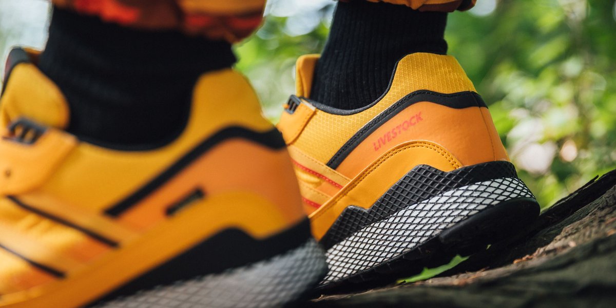 adidas livestock gore tex