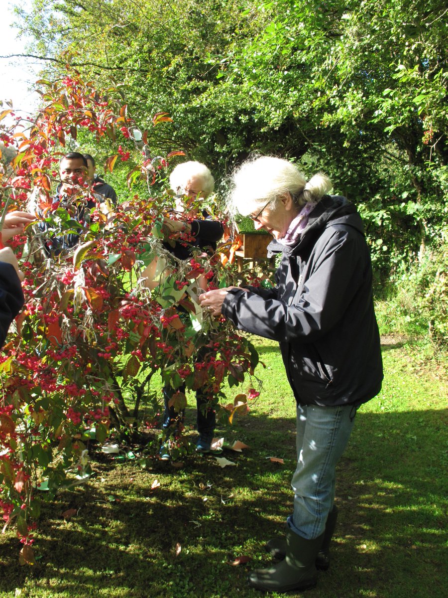 BrigitsGardenIE's tweet photo. Wonderful volunteers at Brigit's Garden - this Thursday and every Thursday morning. @GreenBlueFest #lovinggalway Get involved - email hedda@brigitsgarden.ie https://t.co/5a9YeYkfYK