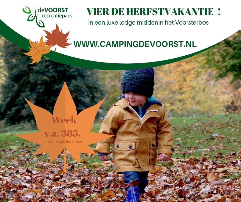 Het Voorsterbos  heeft haar 1001 Herfstkleuren weer aangetrokken. Reserveer bij ons een lodge en kom genieten! @toerismeflevo @VVVNOPolder #waterloopbos <a href="/voorsterbos/">Waterloopbos</a> @VDBrecreatie #vakantie <a href="/holland_de/">Nathan Holland de Oliveira</a> <a href="/GroetUitHolland/">Groeten uit Holland</a> #urlaun #herbst #herfst #autumn #leaves #indiansummmer