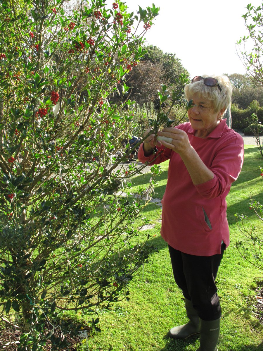 BrigitsGardenIE's tweet photo. Wonderful volunteers at Brigit's Garden - this Thursday and every Thursday morning. @GreenBlueFest #lovinggalway Get involved - email hedda@brigitsgarden.ie https://t.co/5a9YeYkfYK