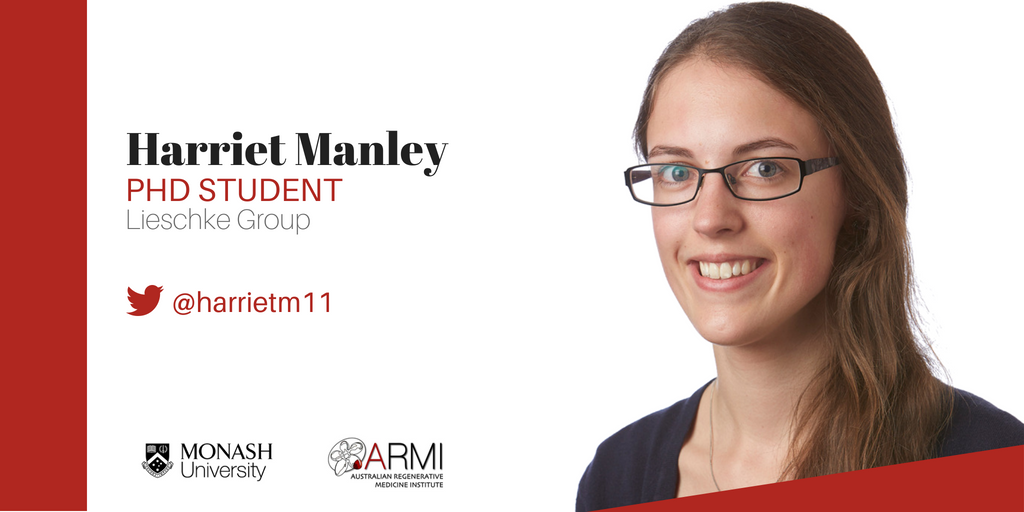 ARMI_Labs's tweet photo. Part of the Lieschke Group, @harrietm11 is studying #BloodProduction &amp; #leukocyte production, infection, &amp; #immunity, using #zebrafish models. She's also one of ARMI's Social Media Ambassadors. Read about Lieschke Group at https://t.co/vNGtLjQuNR #PeopleOfARMI #WomenInSTEMM https://t.co/hGcapVbylY